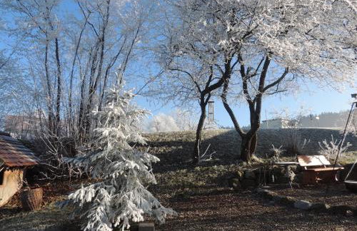 Ferienwohnung Butscher - Foto 44