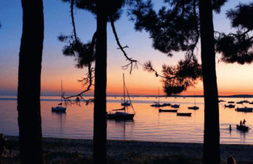 Maison l'EscaleTaussat Les Bains - Photo 29