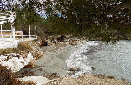 JERRY'S STUDIOS LASSI - Photo 42