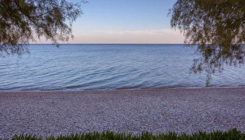 Aliki Studios - Foto 5