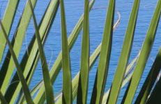 Apartments Galeb - Photo 47