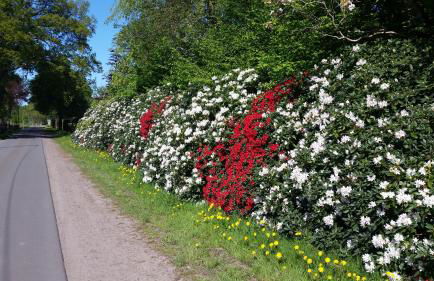 Ferienwohnung Morgensonne - Foto 1