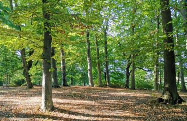 Sweet Little Home Mimi - Foto 22