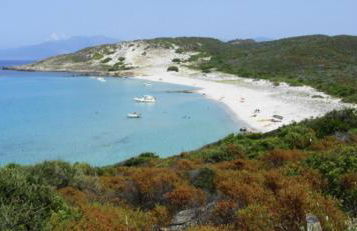 Résidence calme à 2 km de Saint-Florent - Foto 9