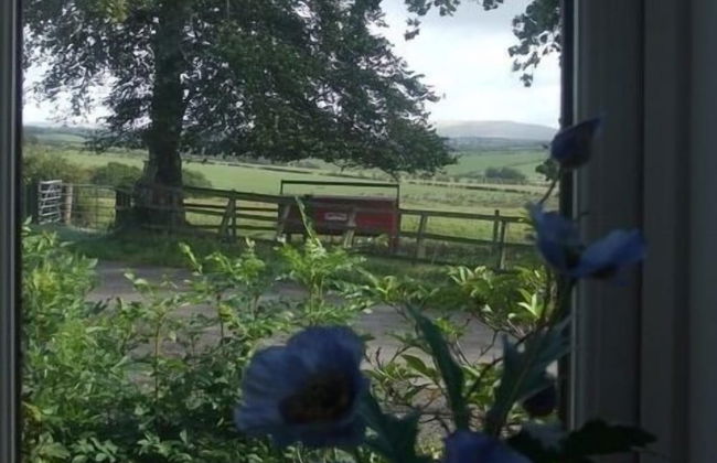 Dykefield Farm B&B - Photo 5
