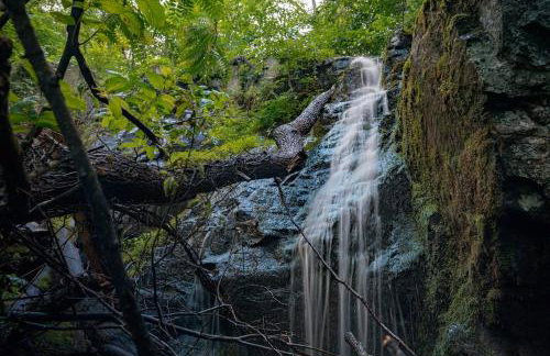 Lookout Cabin - Foto 6