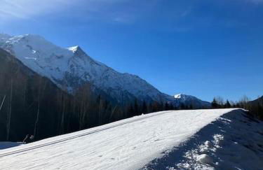 Magnifique Appartement au Centre de Chamonix - Photo 36