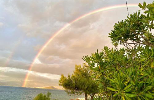 Villa Amica - Photo 3