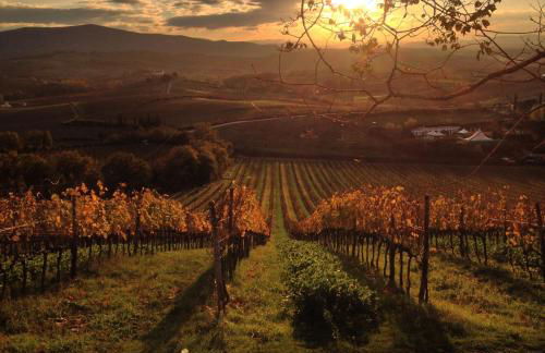 Residenza Cornino - Foto 23