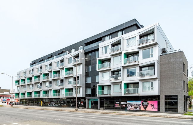 Le Kaméléon - Foto 2