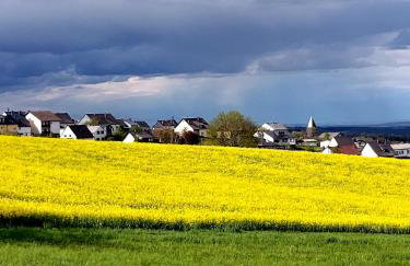 Premium Vulkaneifel Chalet - Foto 29