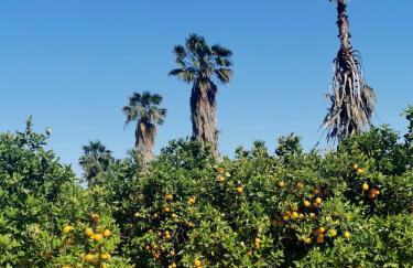 Costa de Verano Apartment with swimming pool in the center of Torrevieja - Foto 50