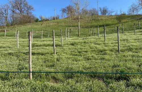 Casa Tincana - Foto 5