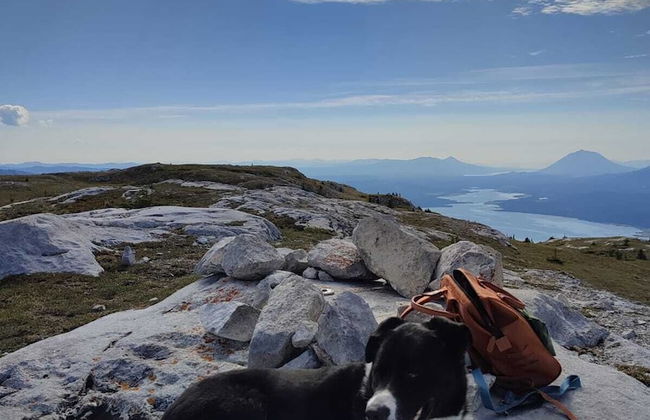 Little Atlin Lodge - Photo 46