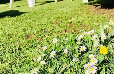 La Maison Pop Appartement meublé indépendant avec jardin - Foto 19