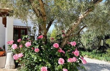 Casa de Campo La Mejorana Refugio entre olivos sin renunciar al confort - Foto 59