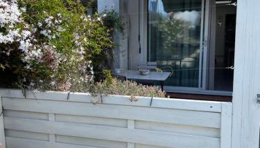 L’Annexe - Foto 1