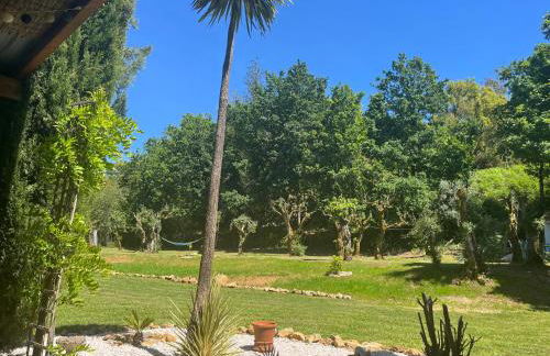 Casa Toupeira - Foto 32