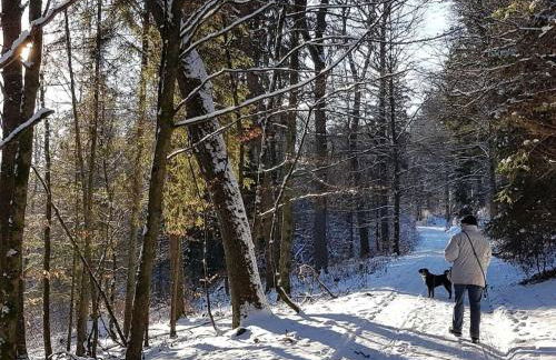 Holiday home with 8 bedrooms - Foto 32