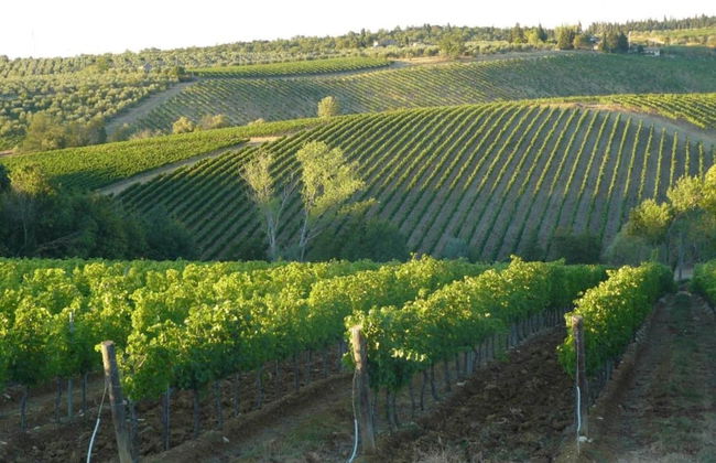 Belvilla by Oyo Erica - Photo 38