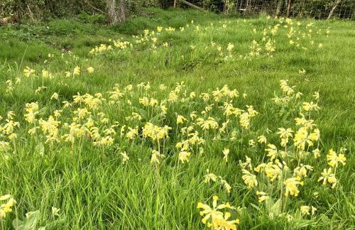 Simpers Drift, Great Glemham - Foto 17