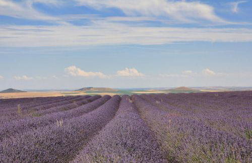 Las Viñas Pinilla - Foto 20