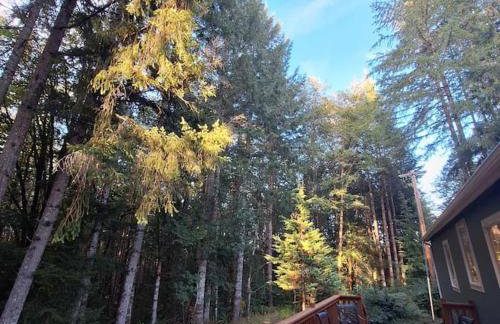 30 Peaceful Acres - Foto 51