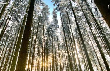 Traumfabrik Eifel mit Sauna & Whirlpool - Foto 62