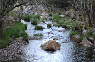 Alojamiento Turístico La alegría de la huerta - Foto 51