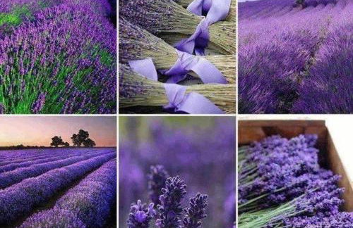 Studio indépendant vue magnifique et au calme - Foto 6