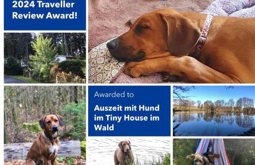 Hundeurlaub im Tiny House im Wald - Foto 57