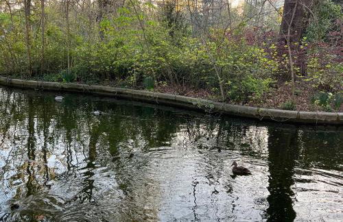 Studio dans le quartier luxe - Foto 33