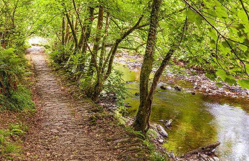 Alder Cottage - Foto 28