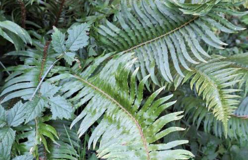 30 Peaceful Acres - Foto 36