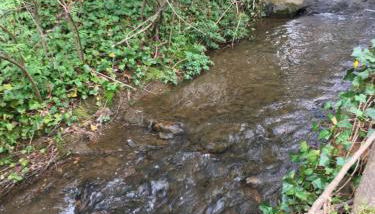 Brookside Cottages - Foto 5