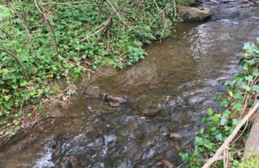 Brookside Cottages - Foto 5