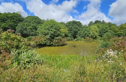 Roseland Valley Retreat - Photo 23