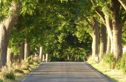 Gut-Rattelvitz-Parterre-A-hochwertig-Sauna-Kamin-eTankstelle-Spielscheune-15-000qm-Parkland - Foto 71