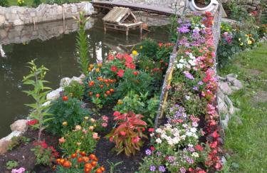 Altana całoroczna Vira numer 7 Herbergerówka Agroturystyka na wsi - Foto 27