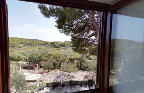 Apartmani Green Oasis - Foto 11