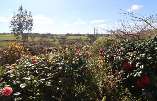 Magnolia View - Foto 51