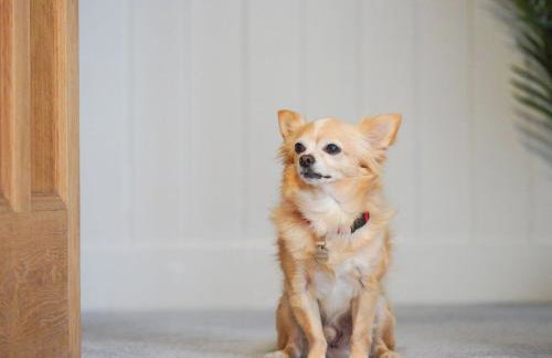 The Old Bulls Head - Photo 31