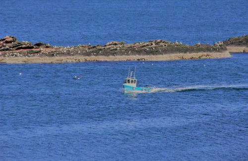 Bellevue Holiday Cottage - Foto 19