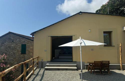 Tuvo Houses - Foto 22