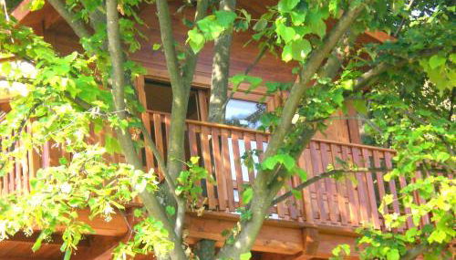 Casa sull'Albero Aromantica - Foto 3