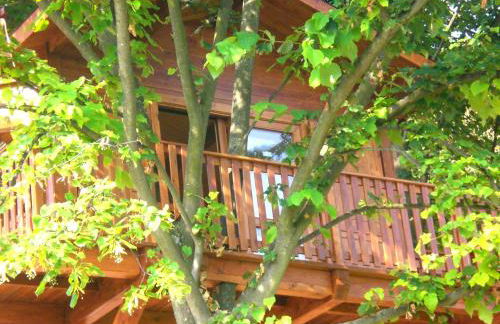 Casa sull'Albero Aromantica - Foto 3