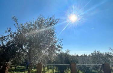 Podere La Branda - Foto 50