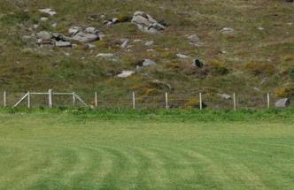 Reid's Hall - Foto 26