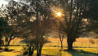 Maison Dream in Marciac - Photo 4