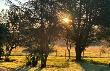 Maison Dream in Marciac - Photo 4